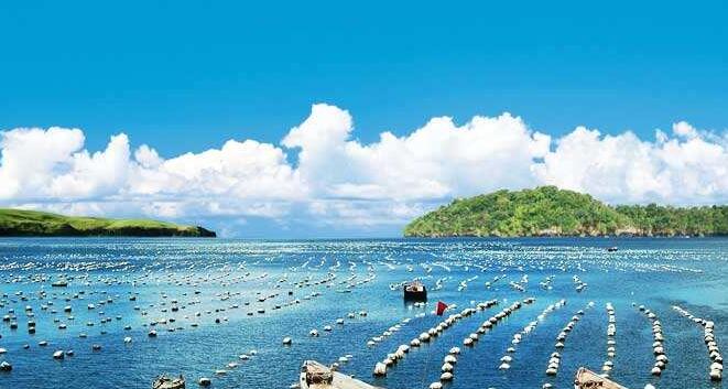 百洋水產產業(yè)投資集團面經：怎么樣看待離職又回歸？