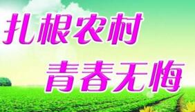 大學生村官選調(diào)生是公務(wù)員嗎？村官選調(diào)生和選調(diào)生什么區(qū)別？有編制嗎？