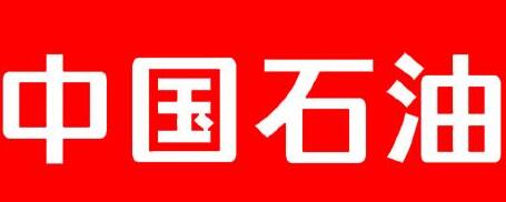 中國(guó)石油廣西石化公司總經(jīng)理雍瑞生簡(jiǎn)歷，廣西石化領(lǐng)導(dǎo)班子