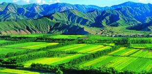 廣西農(nóng)村投資集團(tuán)待遇怎么樣？廣西農(nóng)業(yè)信貸擔(dān)保公司工資多少？中層如何？