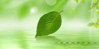 南寧八菱科技怎么樣？待遇怎樣，為什么被譴責(zé)？年產(chǎn)多少錢？