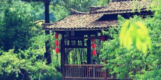 廣西廣投文化旅游公司梅以軍簡歷，廣西廣投文旅和廣西投資集團啥關(guān)系？