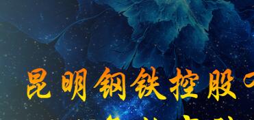昆鋼集團(tuán)王素琳簡歷，馬德、陳清泉、王存璘、蘇玲翠、王云萍、錢永祥、孫小躍、官德海、高冰、杜陸軍、趙永平領(lǐng)導(dǎo)班子