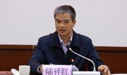陸祥紅簡歷：河池市委常委、政法委書記陸祥紅，曾任河池市人大副主任、市委秘書長、天峨縣委書記