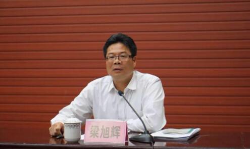 梁旭輝簡歷：廣西自治區(qū)黨委第四巡視組組長梁旭輝，曾任柳州市委副書記，崇左市委常委、常務(wù)副市長、紀委書記