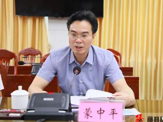 蒙中平簡(jiǎn)歷：梧州市藤縣縣委副書(shū)記、縣長(zhǎng)蒙中平，曾任蒙山縣委常委、常務(wù)副縣長(zhǎng)、人大副主任