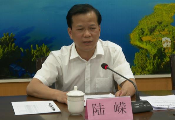 陸嶸簡歷：河池市政府秘書長陸嶸，曾任河池市人大秘書長，鳳山縣委副書記、縣長