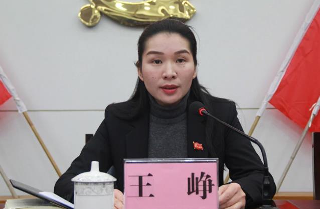 王崢簡歷：桂林市委巡察組組長王崢，曾任平樂縣委常委、紀委書記